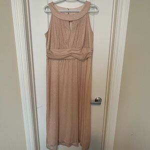 Enfocus Studio Shimmering Beige Midi Dress